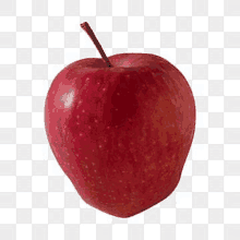 a red apple on a transparent background with a stem .