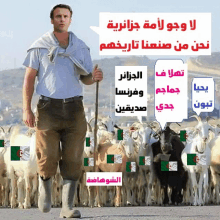 a man standing in front of a herd of goats with a speech bubble that says ' algeria ' on it