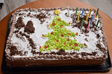 a cake with a christmas tree on it and candles on it