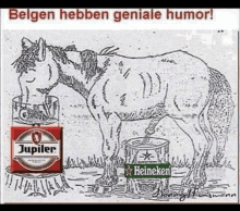 a drawing of a horse drinking from a can of jupiler beer