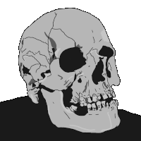 a black and white drawing of a skull with a black eye