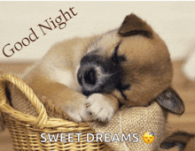 a puppy sleeping in a wicker basket with the words good night sweet dreams