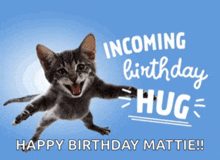 a birthday card with a cat and the words " incoming birthday hug "