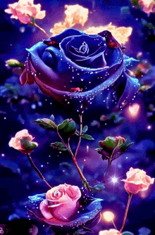 a blue rose is surrounded by pink roses on a purple background