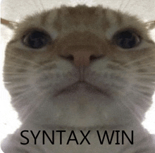 a close up of a cat 's face with the words syntax win written below it