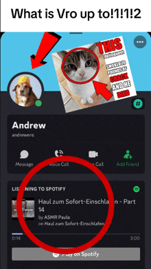 a screenshot of andrew 's spotify account with a cat on it