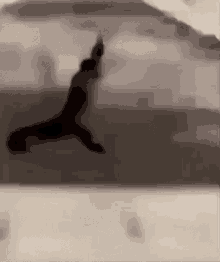 a black and white photo of a person jumping over a glass wall .