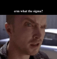 a close up of a man 's face with the words `` erm what the sigma '' written above it .