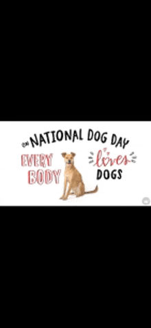 a picture of a dog with the words national dog day every body loves dogs on it