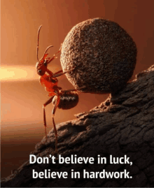 an ant pushing a large rock up a hill with the words " don 't believe in luck believe in hardwork " below it