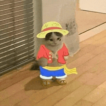 a cat dressed as luffy from one piece is standing next to a wall .