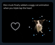 elon musk finally added a soggy cat animation when you triple tap the heart on a black background