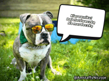 a dog wearing sunglasses has a speech bubble that says  kierowniku