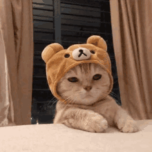 a kitten wearing a teddy bear hat is laying on a bed .