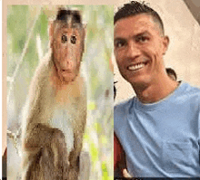 a picture of a monkey and a picture of a man .