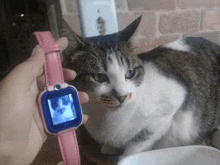 a person holding a watch with a cat on the screen