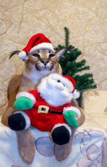 a cat in a santa hat is holding a stuffed santa