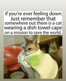 a picture of a cat wrapped in a dish towel cape