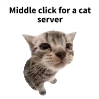 a picture of a cat with the words " middle click for a cat server " above it