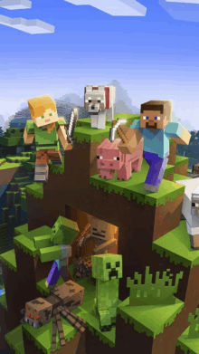 a group of minecraft characters are standing on top of a cliff