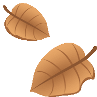 two brown leaves on a white background