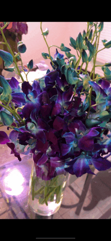 purple and blue flowers in a glass vase on a table