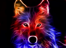 a colorful wolf is glowing in the dark