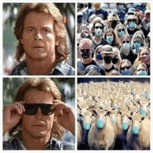 Sheep Masks Meme