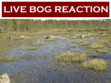 a sign that says live bog reaction on it