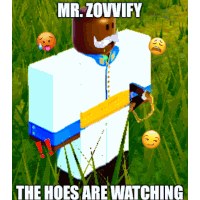 mr. zowvify the hoes are watching is written on a poster