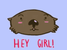 a cartoon of an otter with the words hey girl written below it