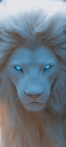 a white lion with blue eyes looking at the camera