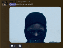 a screenshot of a person wearing a mask with the words " do i look harmful " at the bottom