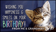 a birthday card with a cat and the words wishing you happiness and smiles on your birthday