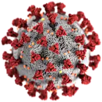 a close up of a virus with red spots