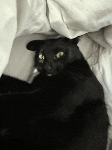 a black cat with yellow eyes is laying on a white blanket