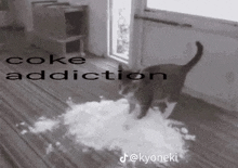 a black and white photo of a cat walking on a wooden floor .