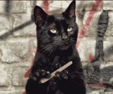 a black cat with green eyes is holding a nail file