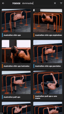 a screenshot of a workout app showing different exercises including australian chin ups