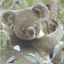 a koala bear is sitting on a tree branch in a pixelated photo