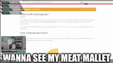 a computer screen shows a pie chart with the words " wanna see my meat mallet "