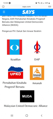 a screenshot of says.com shows a list of malaysian political parties