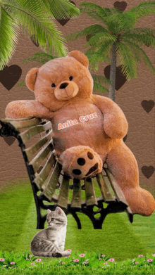 a teddy bear with anita cruz written on it sits on a bench