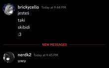 a screenshot of a conversation between brickycello and nerdk2 at 9:45 pm