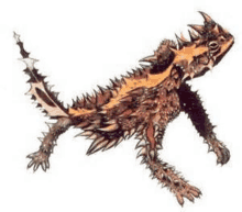 a drawing of a horned lizard with sharp claws on a white background .