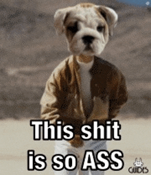 a dog wearing a jacket and pants is standing in the desert with the words `` this shit is so ass '' .