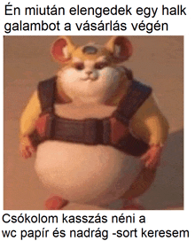 a picture of a fat hamster with a caption that says " en miutan elengedek egy halk galabot a vasarlas vegen "