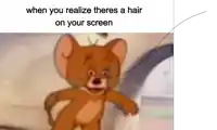 a picture of jerry from tom and jerry with the caption when you realize there is a hair on your screen