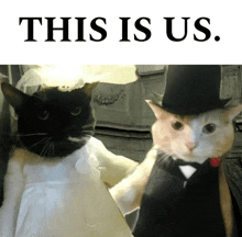 a couple of cats standing next to each other with the words this is us below them