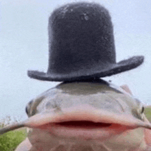 a catfish wearing a top hat and mustache .